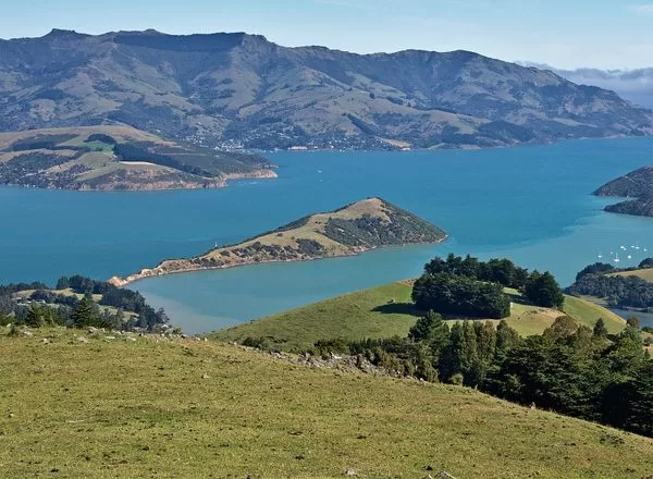 Akaroa in One Day: Volcano, France, and Hector's Dolphins