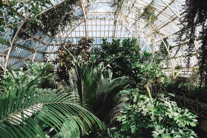 Botanic Gardens Christchurch